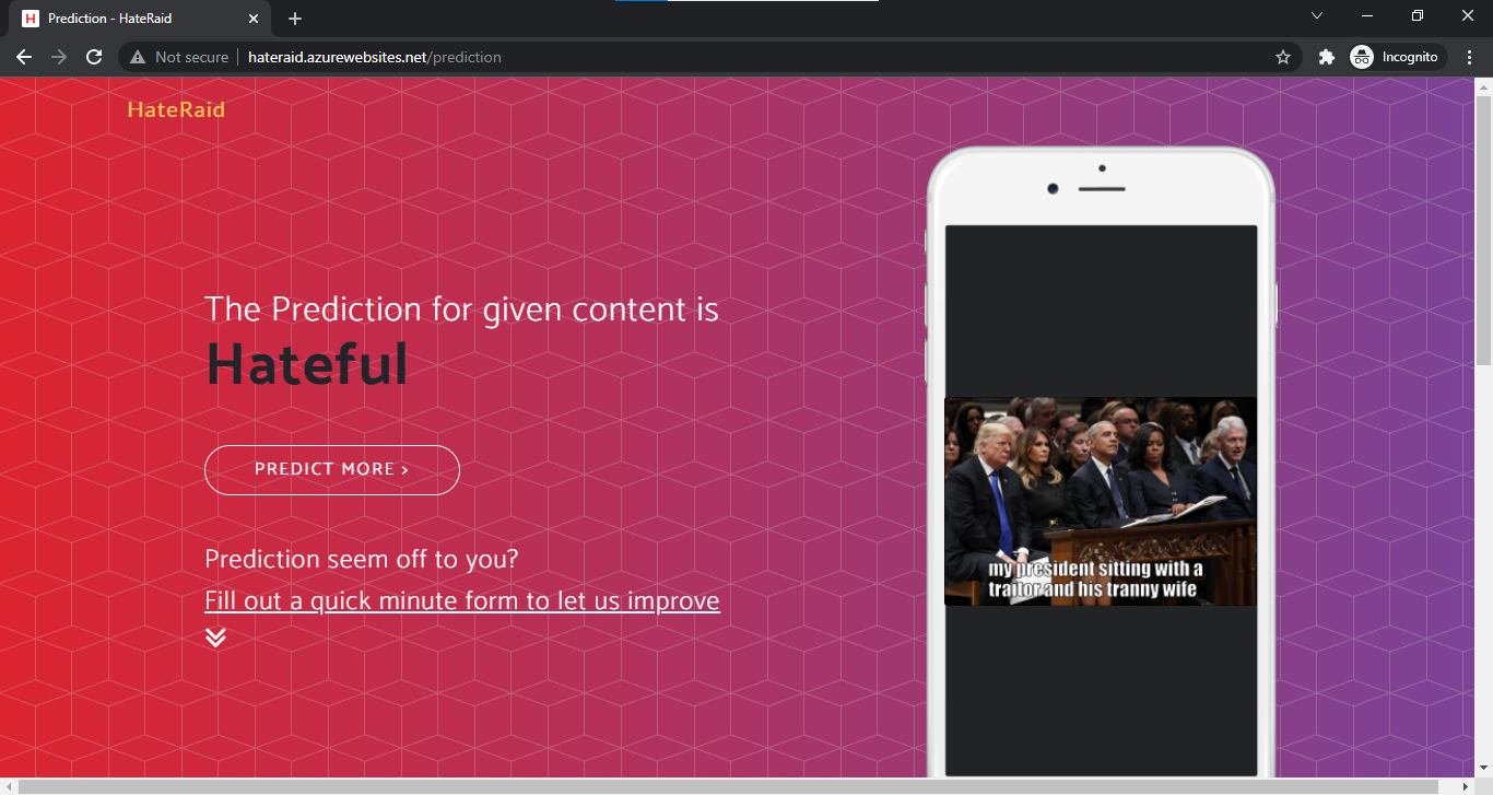 HateRaid Prediction UI